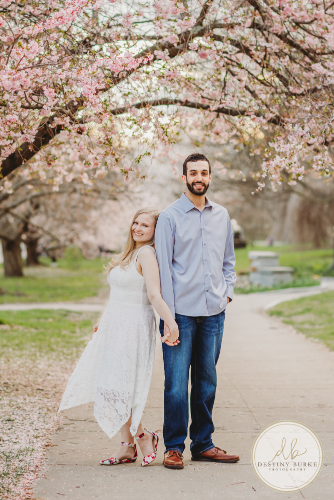 Best Engagement Photographer near Rochester, NY, upstate Highland Park photography, Cherry Blossoms, Couple's photo shoot