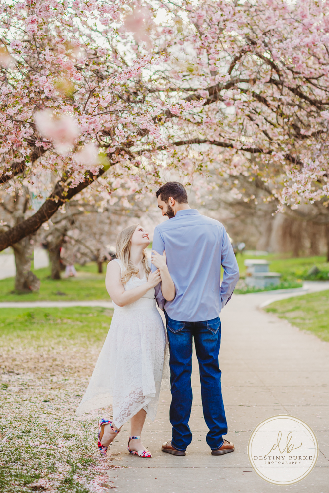 Best Engagement Photographer near Rochester, NY, upstate Highland Park photography, Cherry Blossoms, Couple's photo shoot