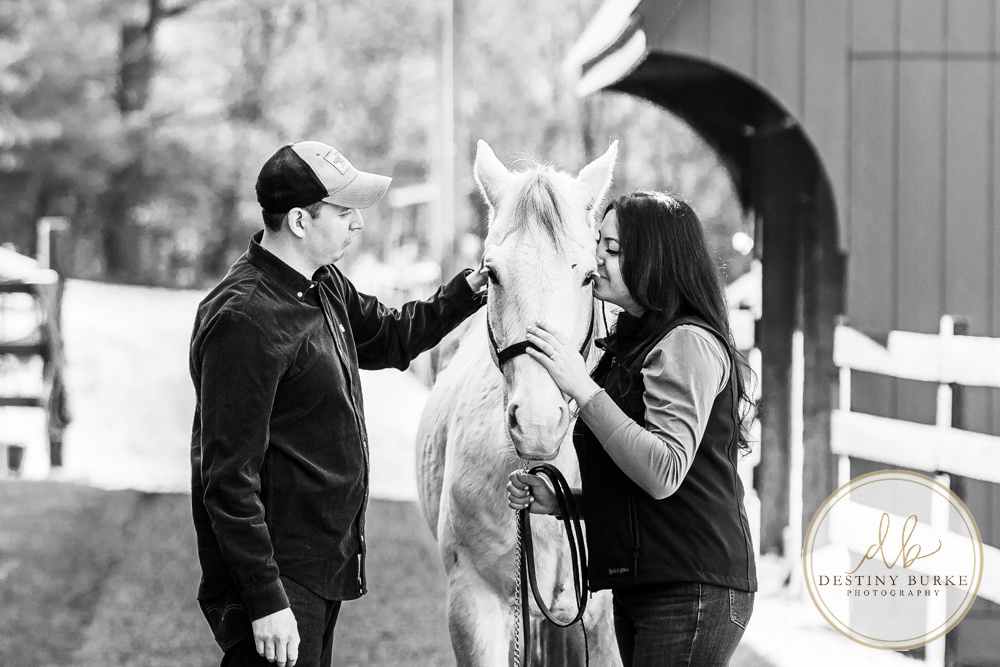 Beautiful horse farm in Nunda, NY. Couple has engagement session with horses and sunset. Near Rochester, NY