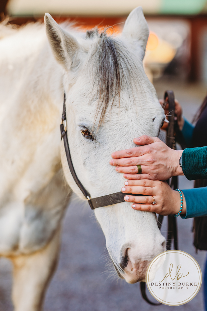 Best Nunda Horse Ranch Engagement Session | Engagement Photographer Nunda NY Near Rochester