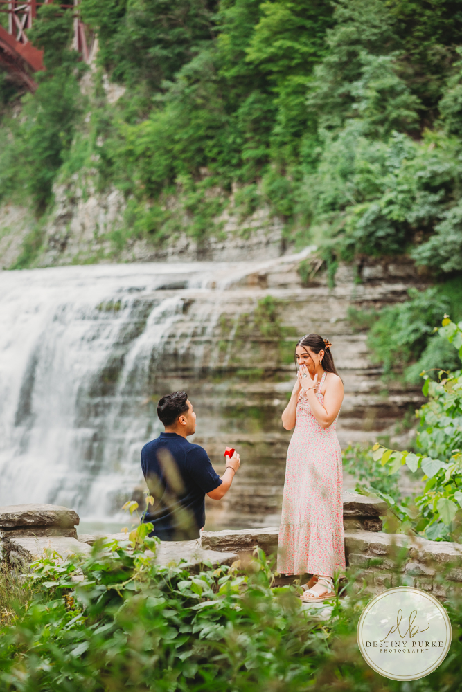 Man proposing on one knee at Letchworth State Park overlook during summer in Castile NY