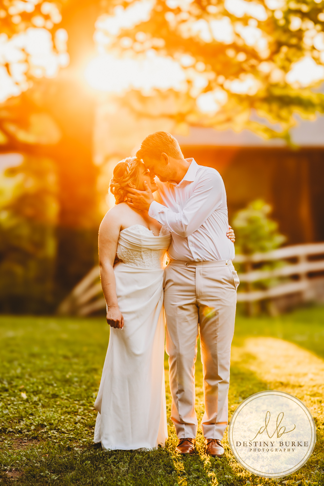 best wedding photographer near rochester ny, naples wedding venue at Cummings Nature Center, Golden Hour Sunset wedding photography