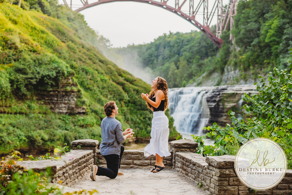best surprise proposal engagement photographer near rochester ny at letchworth state park epic locations to propose