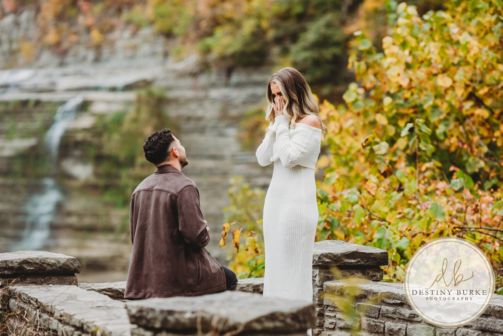 best proposal photographer near rochester ny letchworth state park epic locations to propose