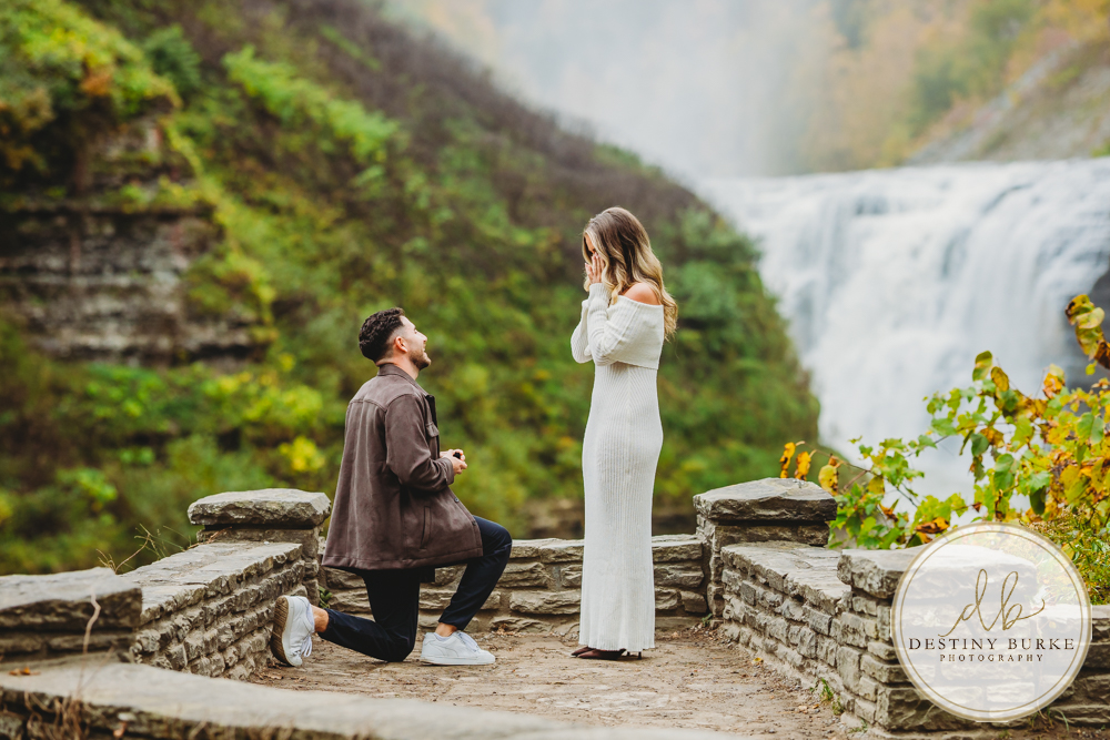 best proposal photographer near rochester ny letchworth state park epic locations to propose